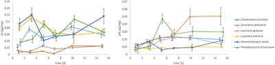 Assimilation of Particular Organic Matter and Dissolved Organic or Inorganic Compounds by Cribroelphidium selseyense (Foraminifera)